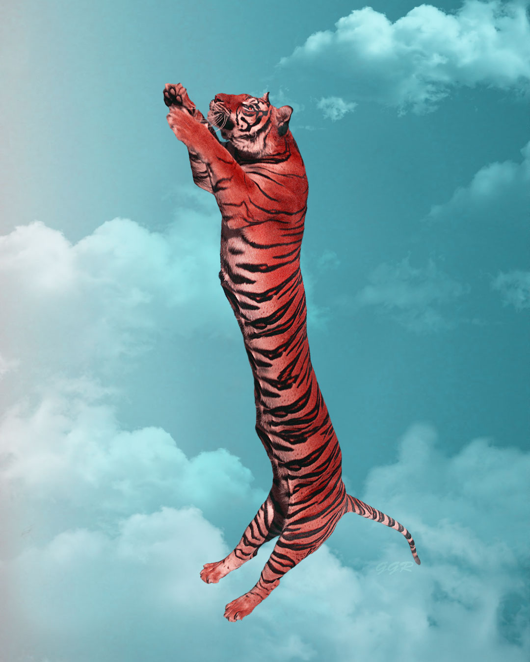 Clouds Hunting